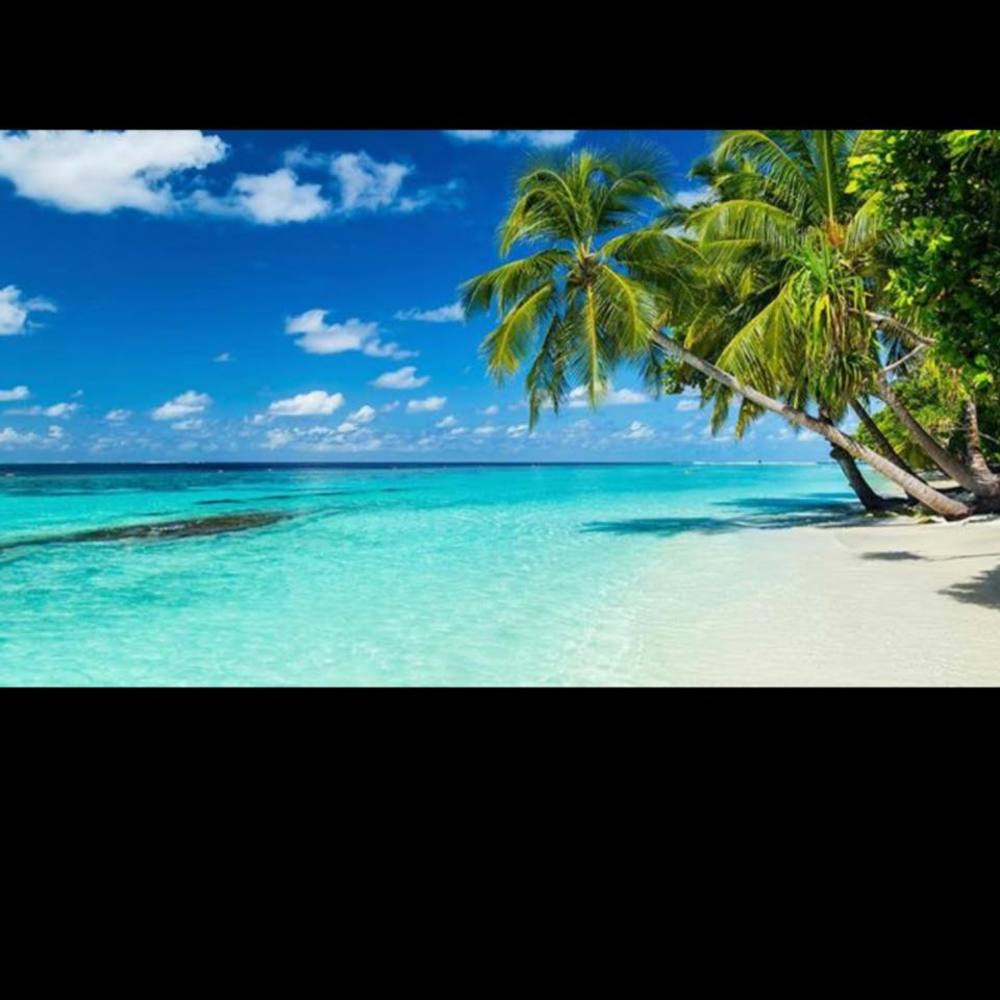 Meet your Posher, Christa